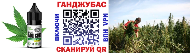 OMG как войти  где продают   Ворсма  Печенье с ТГК марихуана 