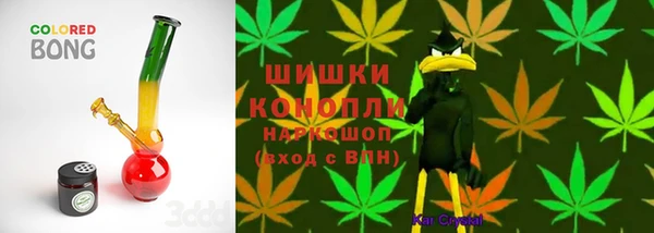 2c-b Богородск