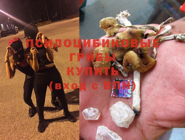 мяу мяу мука Богородицк