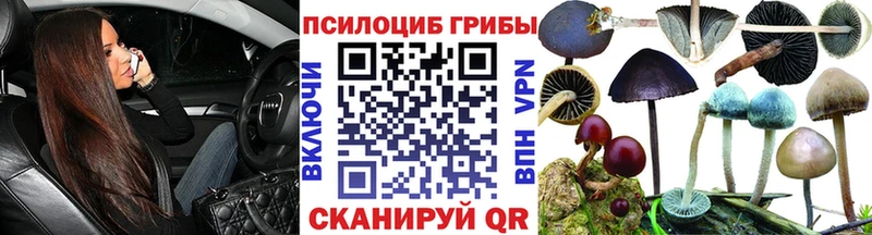 хочу   блэк спрут вход  Галлюциногенные грибы ЛСД  Ворсма 